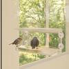 Hrănitoare păsări pentru fereastră 2 buc. 30x12x15 cm acril