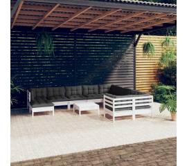 Set mobilier de grădină cu perne, 11 piese, alb lemn de pin