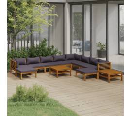Set mobilier de grădină cu perne, 12 piese, lemn masiv acacia