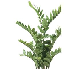 Emerald plantă artificială zamioculcas, verde, 110 cm, 11.662c