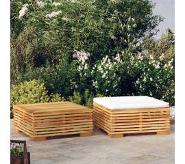 Set mobilier de grădină, 2 piese, lemn masiv de tec