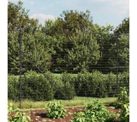Gard plasă de sârmă cu țăruși de fixare, antracit, 2x25 m