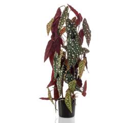 Emerald plantă artificială begonia maculata, 75 cm, în ghiveci