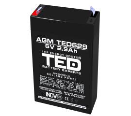 Acumulator agm vrla 6v 2,9a dimensiuni 65mm x 33mm x h 99mm f1 ted battery expert holland ted002877 (20)