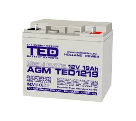 Acumulator agm vrla 12v 19a high rate 181mm x 76mm x h 167mm f3 ted battery expert holland ted002815 (2)