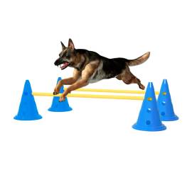 Set de obstacole pentru activități câini, albastru și galben
