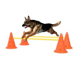 Set de obstacole pentru câini, portocaliu și galben