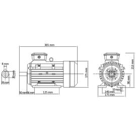 Motor electric trifazic aluminiu 2,2kw/3cp 2 poli 2840 rpm, 8 image