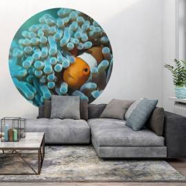 Wallart tapet în formă de cerc „nemo the anemonefish”, 190 cm, 4 image