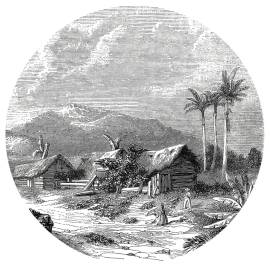 Wallart tapet în formă de cerc „landscape of guadeloupe”, 142,5 cm, 2 image