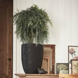 Capi vas de plante nature rib elegant, negru, 36x47 cm, adânc, kblr782, 4 image