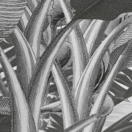 Komar fototapet mural amazonia, alb şi negru, 400x250 cm, 4 image