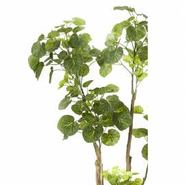 Emerald arbore artificial polyscias, 135 cm, 420292, 2 image