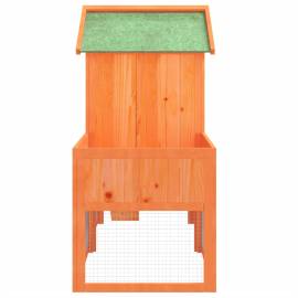 Cușcă pentru iepuri maro 170x63x113 cm lemn masiv de pin, 6 image