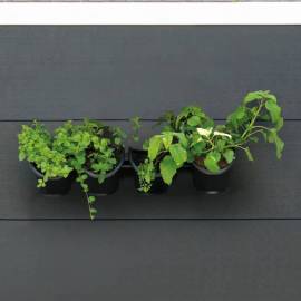 Nature kit vertical pentru flori / ierburi de grădină, 6 image