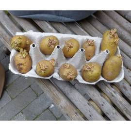Nature sac de cultură cartofi, 37 l, bej, 6 image