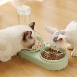 Vas Dublu Inclinat pentru hranire pisici cu Dispenser Apa, AVX-AG684E, 2 image