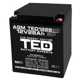 Acumulator agm vrla 12v 28a dimensiuni speciale 165mm x 125mm x h 175mm m6 ted battery expert holland ted003430 (1)