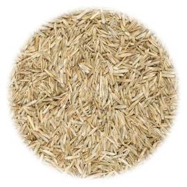 Semințe de gazon pentru câmp și pășune, 20 kg, 2 image
