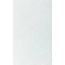 Grosfillex plăci de perete gx wall+ 5 buc. alb 45x90 cm piatră, 3 image