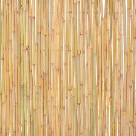 Gard din bambus, 300 x 100 cm, 7 image