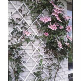 Nature gard de grădină tip trellis, 100 x 200 cm pvc, alb, 6040703, 2 image