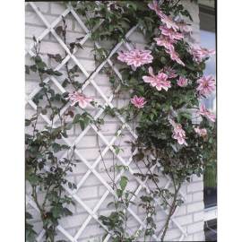 Nature gard de grădină tip trellis, 50 x 150 cm pvc, alb, 6040701, 2 image
