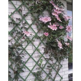 Nature gard de grădină tip trellis, 50 x 150 cm pvc, verde, 6040702, 2 image