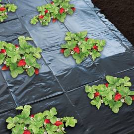 Nature folie de mulcire pentru căpșuni, 1,4 x 20 m, 6030231, 3 image