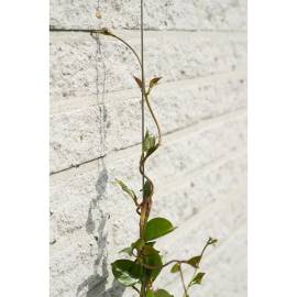 Nature set cabluri spalier pentru plante cățărătoare, 6040760, 4 image