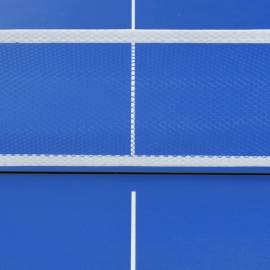 Masă de ping pong cu fileu, albastru, 152 x 76 x 66 cm, 2 image