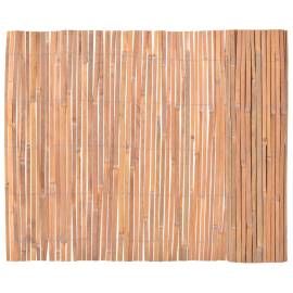 Gard din bambus, 100 x 600 cm, 2 image