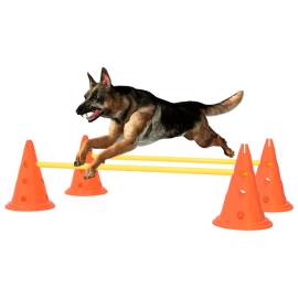 Set de obstacole pentru câini, portocaliu și galben