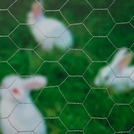 Nature plasă din sârmă, 0,5 x 10 m, oțel galvanizat, 25 mm, hexagonal, 2 image
