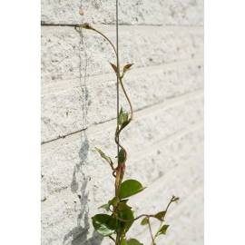 Nature set cabluri spalier pentru plante cățărătoare, 2 buc., 6 image