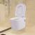 Vas toaletă suspendat cu rezervor încastrat, ceramică, alb, 2 image