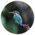 Wallart tapet în formă de cerc „the kingfisher”, 142,5 cm, 2 image