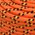 Frânghie de barcă, portocaliu, 6 mm, 50 m, polipropilenă, 4 image
