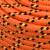 Frânghie de barcă, portocaliu, 10 mm, 25 m, polipropilenă, 4 image