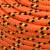 Frânghie de barcă, portocaliu, 8 mm, 250 m, polipropilenă, 4 image
