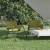 Scaune de camping, 2 buc., verde, 54x43x59 cm, țesătură oxford