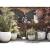 Capi jardinieră în formă de ou nature row, ivoar, 54x52 cm, krwi935, 4 image