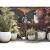 Capi vas de plante nature row elegant, ivoar, 36x47 cm, mic, krwi782, 3 image