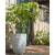 Capi vas de plante nature row elegant, ivoar, 46x58 cm, mic, krwi783, 3 image