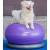 Fitpaws minge de echilibru animale de companie trax donut violet 55 cm, 5 image