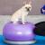 Fitpaws minge de echilibru animale de companie trax donut violet 55 cm, 3 image