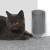 Perie inteligenta de colt pentru auto-ingrijire pisici, 5 image