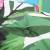 Pernă de bancă de grădină multicolor 150x50x3 cm textil oxford, 5 image