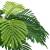 Palmier cycas artificial cu ghiveci, verde, 160 cm, 3 image