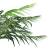 Plantă artificială palmier phoenix cu ghiveci, verde, 215 cm, 4 image